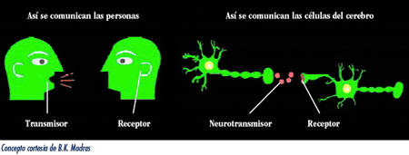 Esta imagen muestra como los mensajes se transmiten en el cerebro. El cerebro utiliza receptores, transportadores y los neurotransmisores para transmitir información.